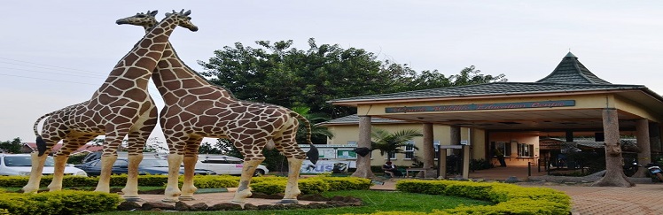 Flight to Entebbe